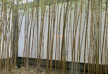 苏州博物馆第 418 张图片