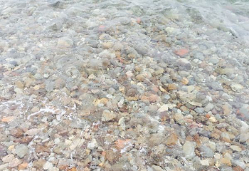 长岛兴成赶海园第 7 张图片