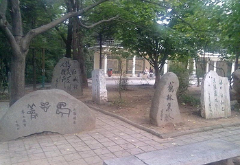 锦江山公园第 33 张图片