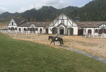 千岛湖马术公园第 9 张图片