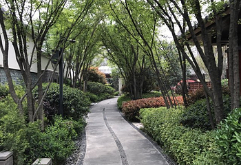 临潼悦椿温泉第 82 张图片
