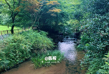 乌龟潭景区第 7 张图片