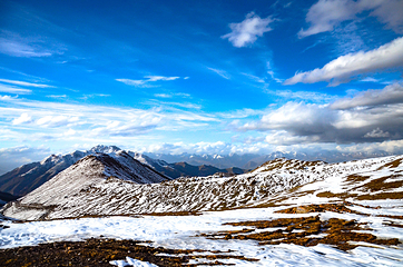 大冬树山垭口第 20 张图片