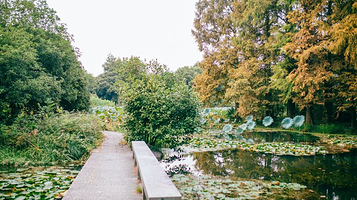 杭州西湖风景名胜区杭州花圃