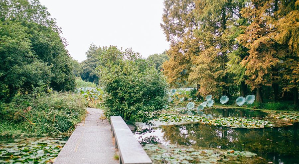 杭州西湖风景名胜区杭州花圃