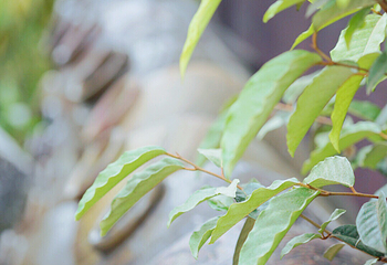 山沟沟景区第 29 张图片