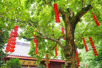 上天竺法喜讲寺第 43 张图片