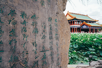 龙潭公园第 31 张图片