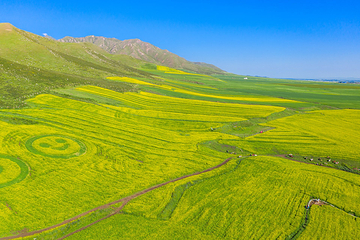 扁都口生态休闲旅游区第 20 张图片