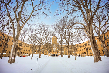 北海道大学第 4 张图片