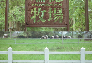瑞穗牧场第 15 张图片