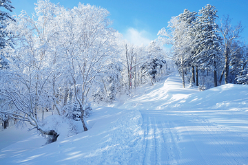 大雪山国立公园第 5 张图片