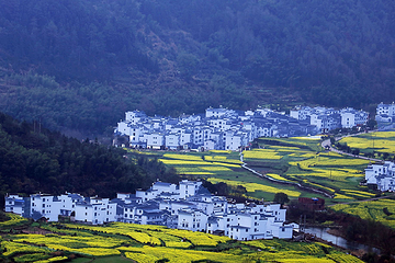 江岭景区第 47 张图片