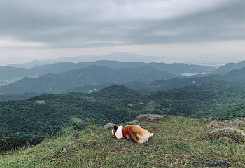 大姆山草场第 11 张图片