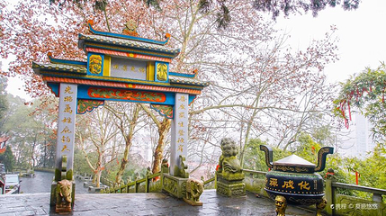 化成禅寺第 1 张图片