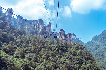 天子山风景区第 5 张图片