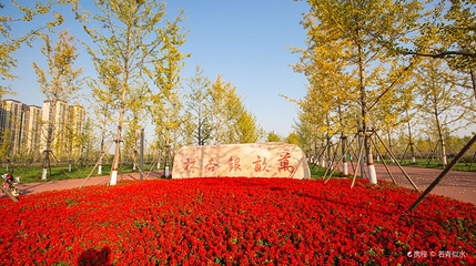 潮白河中央公园第 1 张图片