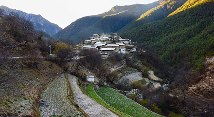 尼汝村第 5 张图片