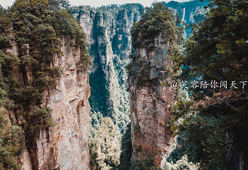 袁家界景区第 19 张图片