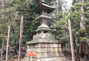 弥彦神社第 10 张图片