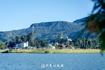 格雷戈里湖第 9 张图片