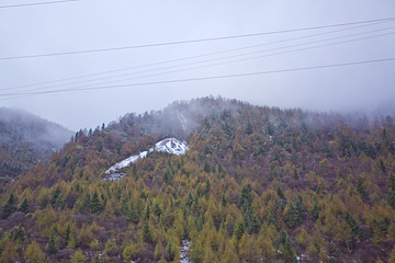 四姑娘山双桥沟景区第 126 张图片
