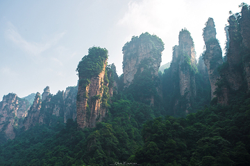 袁家界景区第 46 张图片