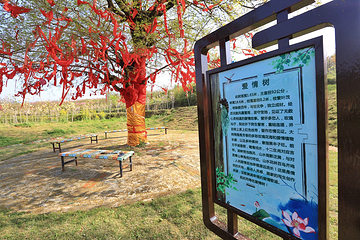 木兰玫瑰园第 41 张图片