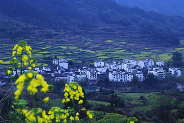 江岭景区第 63 张图片