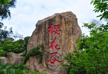 大屏山公园第 9 张图片