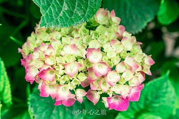 戚继光故里第 36 张图片