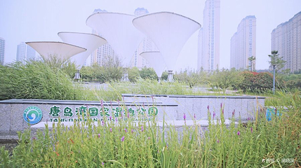 青岛唐岛湾第 1 张图片