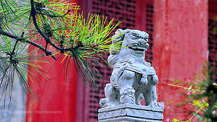 大兴善寺第 16 张图片