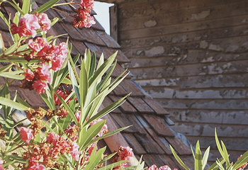 大力水手村第 17 张图片