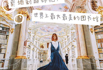 阿德蒙特修道院图书馆第 10 张图片