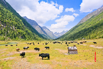 四姑娘山双桥沟景区第 22 张图片