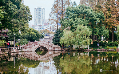 月湖公园第 5 张图片
