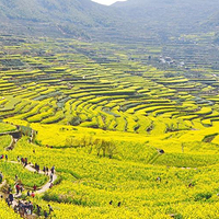 覆卮山景区