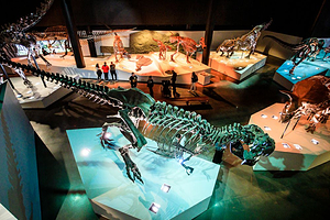 休斯顿自然科学博物馆