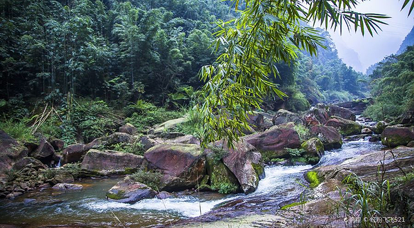 四川画稿溪国家级自然保护区
