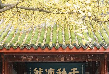 武侯祠第 144 张图片