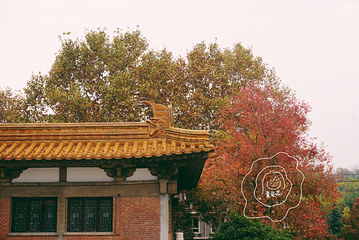 南京博物院第 14 张图片