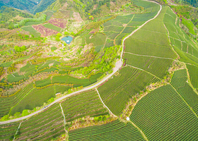 四明山地质公园景区