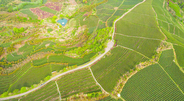 四明山地质公园景区