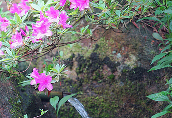 山沟沟景区第 30 张图片