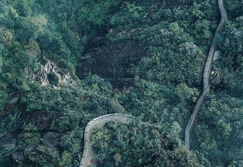 莽山旅游区国家森林公园第 83 张图片