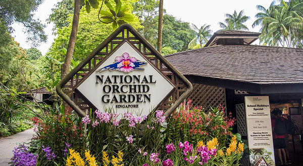 新加坡国家胡姬园