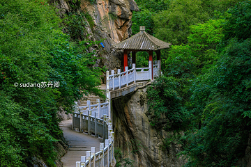 西狭颂景区第 5 张图片