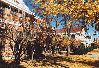 南山旅游风情一条街第 4 张图片