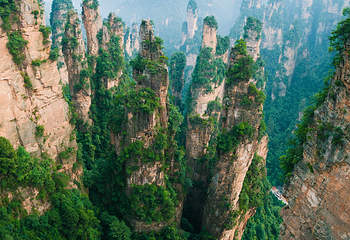 杨家界景区第 16 张图片